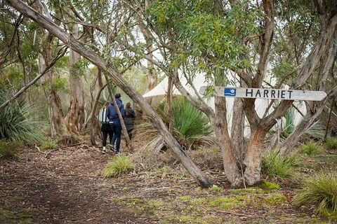 2-Day Kangaroo Island 4WD Small-Group Tour From Adelaide - Tourism Guide 3