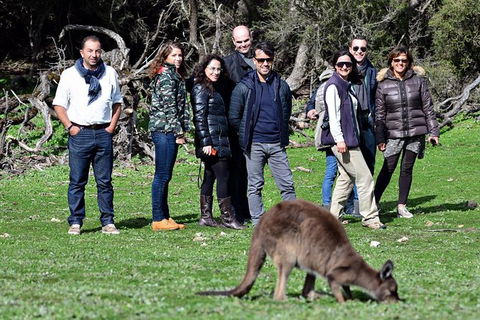 2-Day Kangaroo Island 4WD Small-Group Tour From Adelaide - Tourism Guide 8