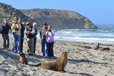 2-Day Kangaroo Island 4WD Small-Group Tour From Adelaide - Tourism Guide 5