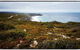 2-Day Kangaroo Island Adventure Tour From Adelaide - thumb 4