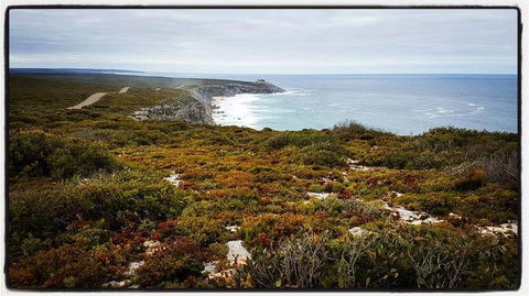 2-Day Kangaroo Island Adventure Tour From Adelaide - Tourism Guide 4