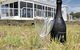 4 Knots Murray River Cruises Offer Morning And Afternoon Tea And Lunch Cruises - thumb 2