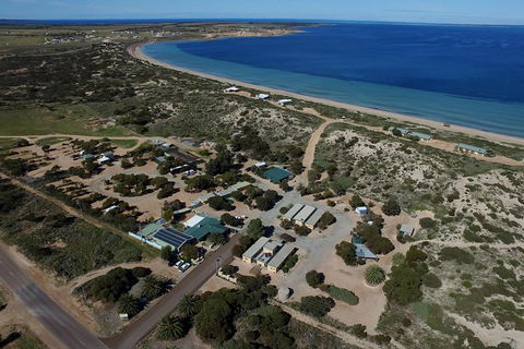 3 Day Whale Watching Tour From Adelaide - Tourism Guide 13