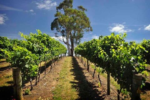 Small Group Adelaide Hills And Hahndorf Hideaway Tour From Adelaide - Tourism Guide 5