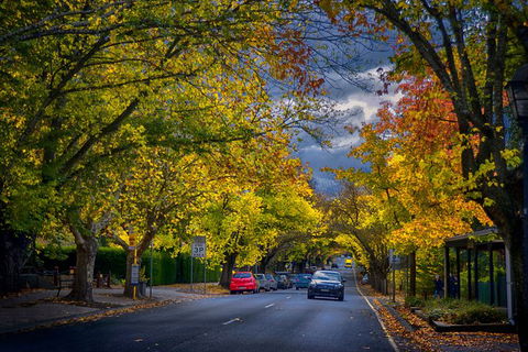 Small Group Adelaide Hills And Hahndorf Hideaway Tour From Adelaide - Tourism Guide 8