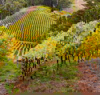 Private Adelaide Hills Wine Region Tour - Tourism Guide