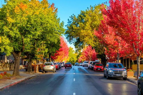 Adelaide City Highlights With Hahndorf And Mt. Lofty - Tourism Guide 7