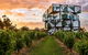 Victor Harbor And McLaren Vale Wine Region Day Tour - thumb 9