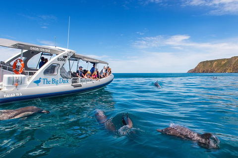 Victor Harbor And McLaren Vale Wine Region Day Tour - Tourism Guide 6