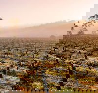 Barossa Valley Private Tour It's your tour the way you want it. - Tourism Guide
