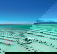 Coffin Bay Day Tour - A Taste of Coffin Bay - Tourism Guide