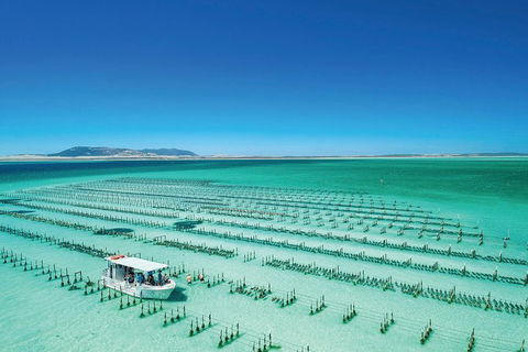 Coffin Bay Day Tour - A Taste Of Coffin Bay - Tourism Guide 0
