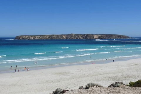 Coffin Bay Day Tour - A Taste Of Coffin Bay - Tourism Guide 12