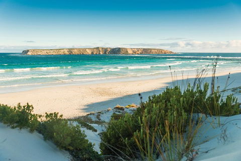 Coffin Bay Day Tour - A Taste Of Coffin Bay - Tourism Guide 13
