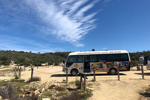 Coffin Bay Day Tour - A Taste Of Coffin Bay - Tourism Guide 4