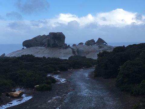 2-Day Kangaroo Island Tour From Adelaide - Tourism Guide 20