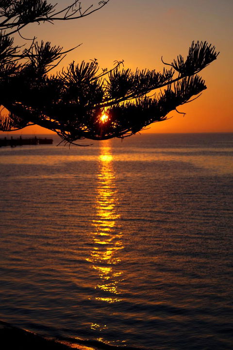 2-Day Kangaroo Island Tour From Adelaide - Tourism Guide 14