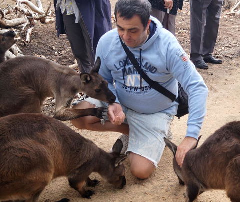 2-Day Kangaroo Island Tour From Adelaide - Tourism Guide 15