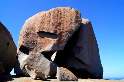 2-Day Kangaroo Island Tour From Adelaide - Tourism Guide 11