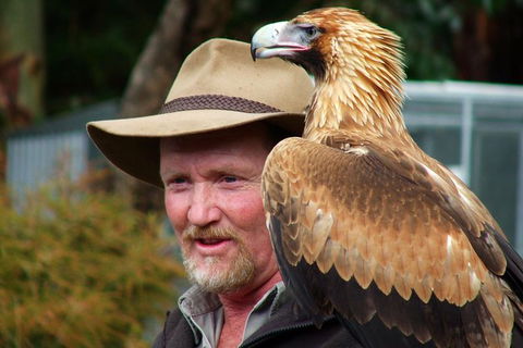 Kangaroo Island Wildlife Day Trip From Adelaide Including Seal Bay - Tourism Guide 0