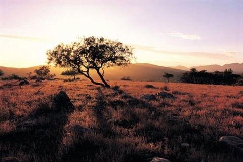 Adelaide To Coober Pedy 7 DAY SMALL GROUP 4WD SAFARI - Tourism Guide 0