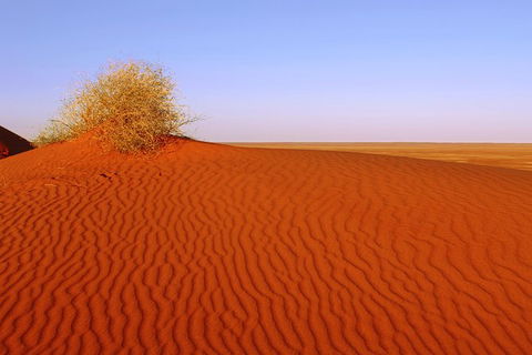 Adelaide To Coober Pedy 7 DAY SMALL GROUP 4WD SAFARI - Tourism Guide 3