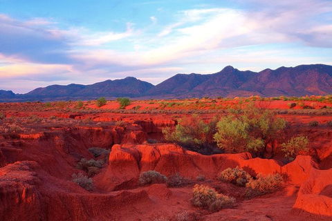 Adelaide To Coober Pedy 7 DAY SMALL GROUP 4WD SAFARI - Tourism Guide 7
