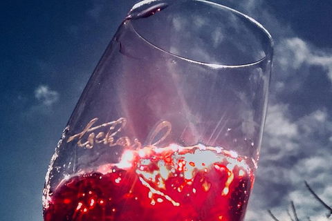 Private Winery Tour Chauffeured - Tourism Guide 7