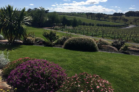 Private Winery Tour Chauffeured - Tourism Guide 13