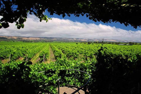 McLaren Vale Winery Small Group Tour With Wine Tasting And Lunch - Tourism Guide 1