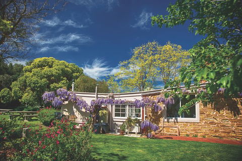 McLaren Vale Winery Small Group Tour With Wine Tasting And Lunch - Tourism Guide 5