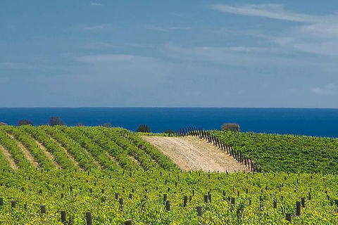 McLaren Vale Winery Small Group Tour With Wine Tasting And Lunch - Tourism Guide 7