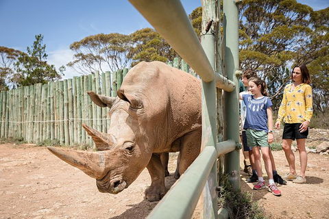 Rhino Interactive And A Day At Monarto Safari Park - Tourism Guide 0