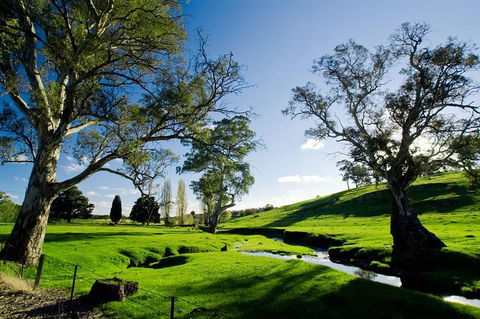 Adelaide Highlights And Hahndorf Tour With Optional River Cruise - Tourism Guide 0