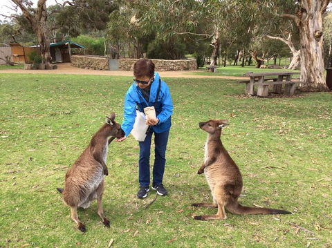 Adelaide Highlights And Hahndorf Tour With Optional River Cruise - Tourism Guide 3