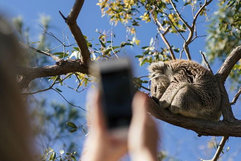 Exceptional Port Lincoln, Seafood And Wildlife Tour - Tourism Guide 0