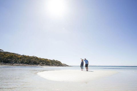 Exceptional Port Lincoln, Seafood And Wildlife Tour - Tourism Guide 5