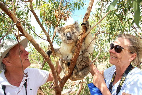 Exceptional Port Lincoln, Seafood And Wildlife Tour - Tourism Guide 6