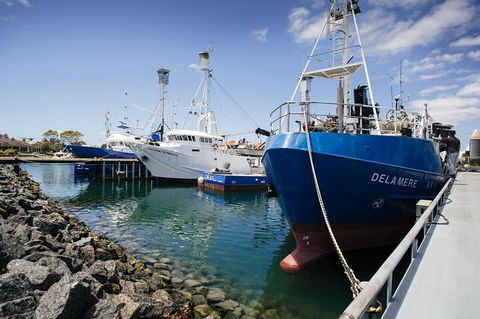 Exceptional Port Lincoln, Seafood And Wildlife Tour - Tourism Guide 8