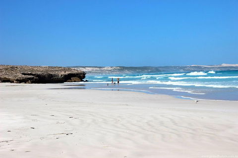 Exceptional Port Lincoln, Seafood And Wildlife Tour - Tourism Guide 4