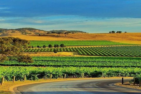 Barossa Private Group 1-13 Tour To Barossa Valley Or McLaren Vale From Adelaide - Tourism Guide 37