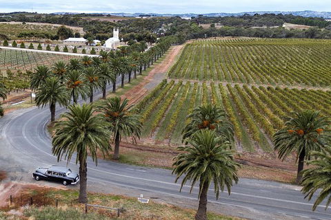 Private Barossa Valley Winery Tour By Classic 1962 Daimler From The Barossa Valley - Tourism Guide 6