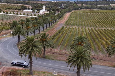 Private Barossa Valley Winery Tour By Classic 1962 Daimler From The Barossa Valley - Tourism Guide 8