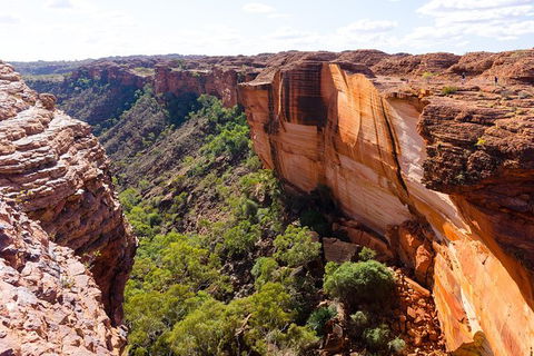 6-Day Rock Patrol Trip Adelaide To Alice Springs Or Uluru - Tourism Guide 8
