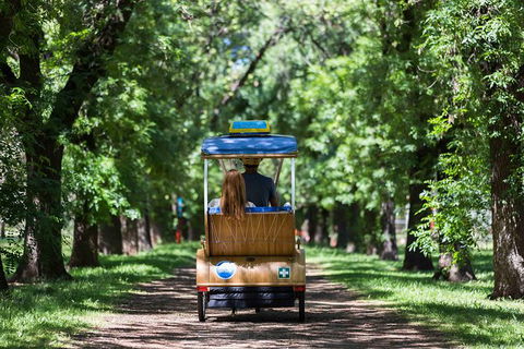 Adelaide 90-Minute Pedicab Tour: Scenic Green & River Experience - Tourism Guide 0