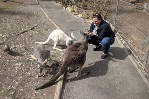 A Taste Of Adelaide And Hahndorf By Car Private Tour. - Tourism Guide 8