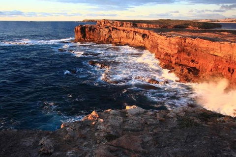 Southern Yorke Peninsula 3 Day SA Coastal Wilderness 4WD Adventure - Tourism Guide 0