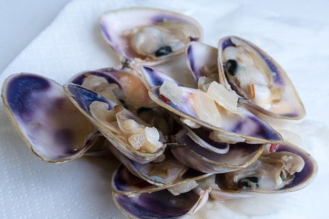 Coorong Adventure Cruise - Tourism Guide 6