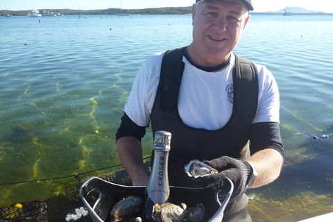 Oyster Farm And Tasting Tour With Hotel Pick-up And Return From Port Lincoln - Tourism Guide 0