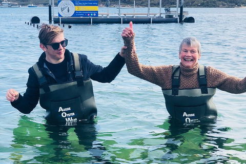 Oyster Farm And Tasting Tour With Hotel Pick-up And Return From Port Lincoln - Tourism Guide 5